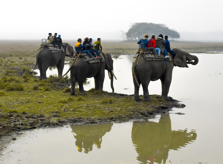 Mayong – The Land of Black Magic