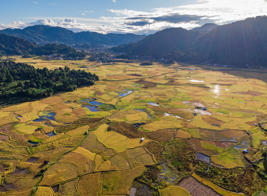 Apatani Cultural Landscape