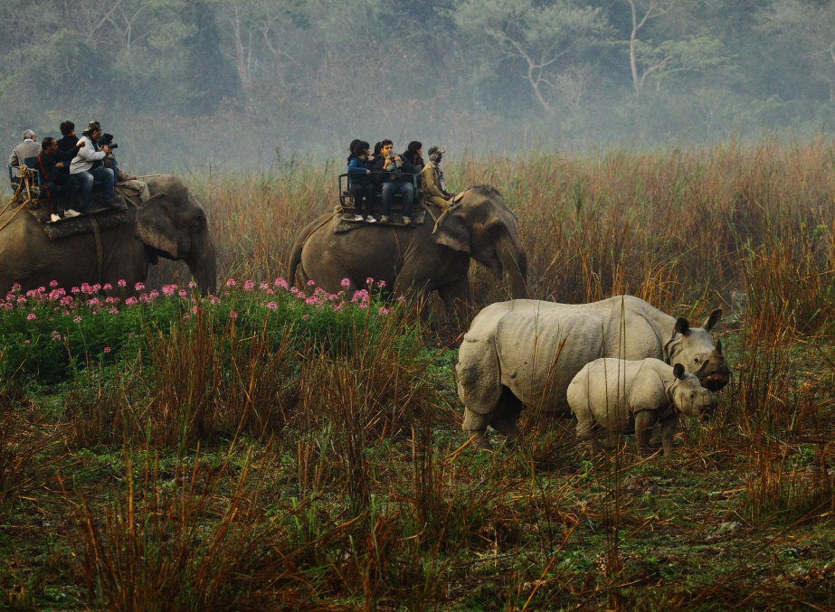 Papum Pare Wildlife Sanctuary