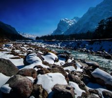 travel agency for sikkim tour
