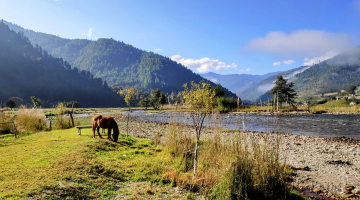 Magical Northeast – Assam Arunachal Tour Package