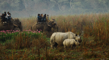 Exciting Assam Meghalaya Trip Package